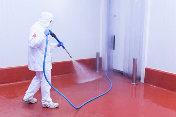 Professional Pressure Washing Services in Keenesburg, CO